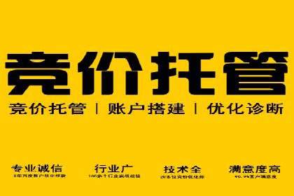 百度竞价广告投放成功案例解析
